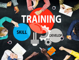 Skills Development and Training